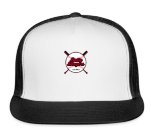 daily-dingers-baseball-hats