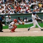 ryne sandberg baseball cards