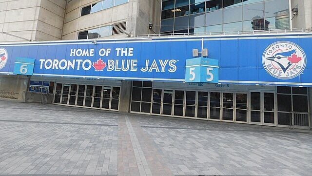 Which of These Baseball Cards of Rising Stars Are You Targeting in 2026?