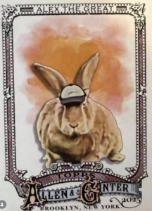 SF Giants Therapy Bunny, 'Alex the Great,' Has His Own Baseball Card